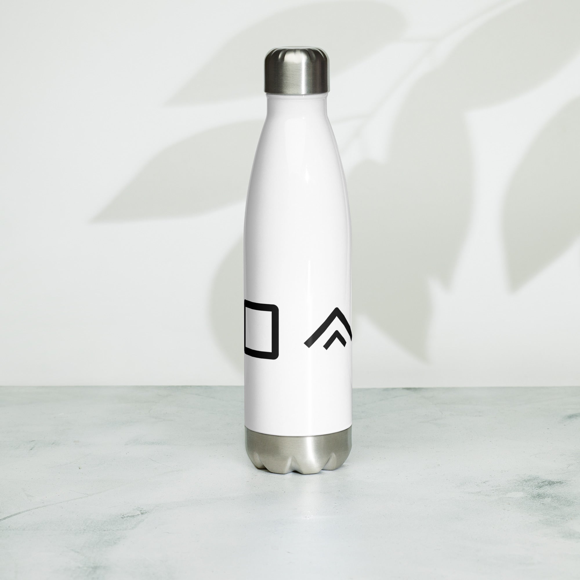 ICOR® Stainless Steel Water Bottle